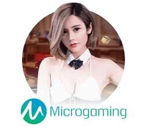 casino7